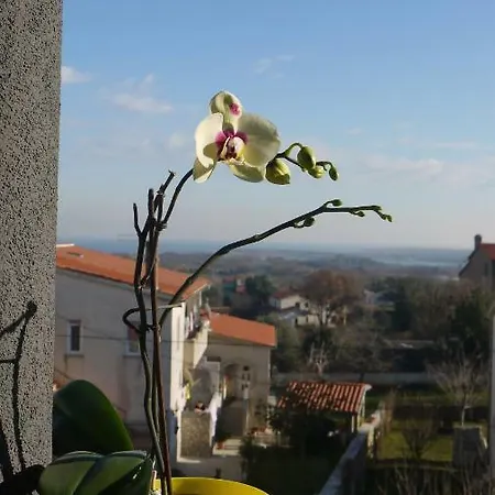 Sunrise Penthouse Apartman *